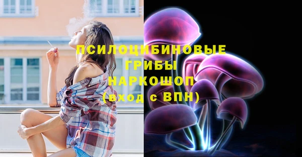 PSILOCYBIN Лабытнанги