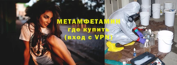 прущие грибы Ладушкин
