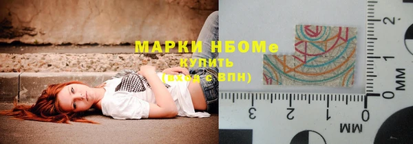 прущие грибы Ладушкин