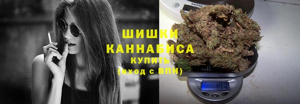 прущие грибы Ладушкин