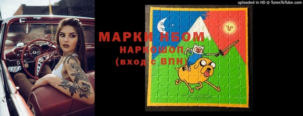 прущие грибы Ладушкин