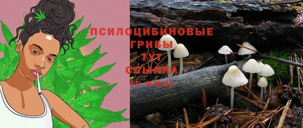 PSILOCYBIN Лабытнанги