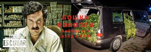 прущие грибы Ладушкин