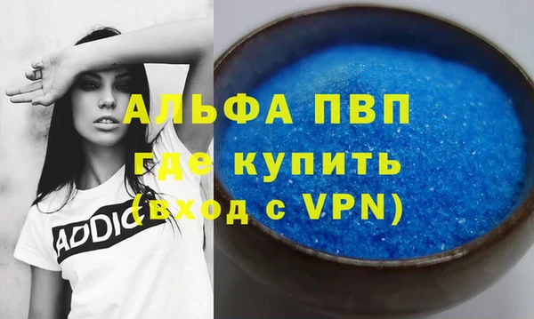 PSILOCYBIN Лабытнанги