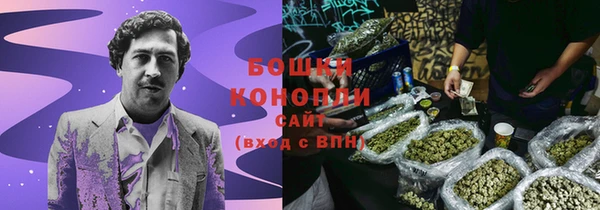 прущие грибы Ладушкин