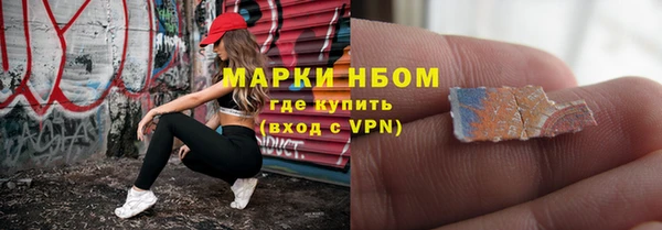 прущие грибы Ладушкин