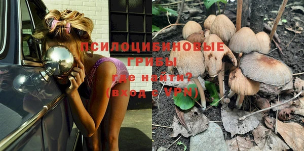PSILOCYBIN Лабытнанги