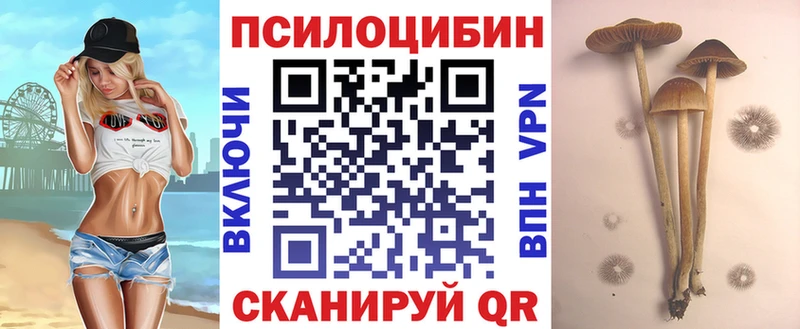 сайты даркнета Telegram  Струнино  Галлюциногенные грибы прущие грибы 