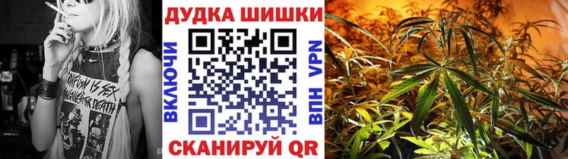 где купить наркоту  Струнино  Бошки марихуана сатива 